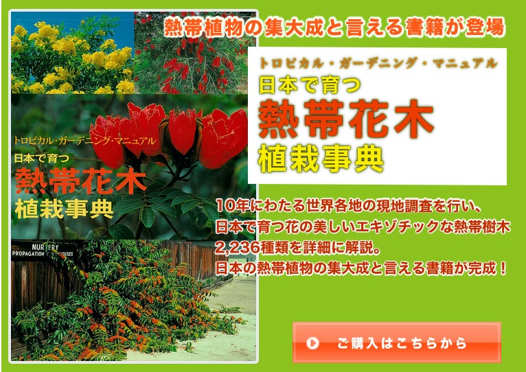 日本で育つ熱帯花木植栽事典のご紹介